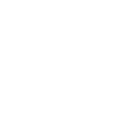Our Values
