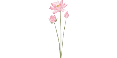 Left Flower Design